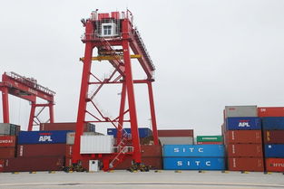 山東到?？趪鴥燃b箱海運專線運輸公司