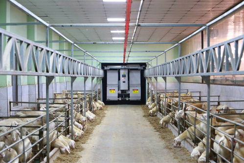 農業(yè)“雙強”行動結碩果，浙江農業(yè)生產更高效，集裝箱租賃助力產業(yè)升級